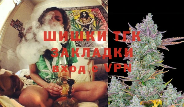 не бодяженный Гусь-Хрустальный