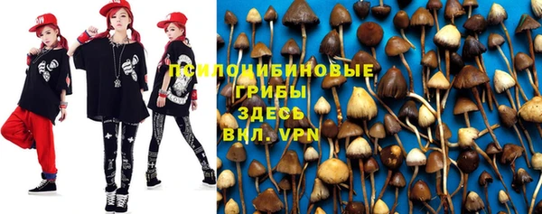 не бодяженный Гусь-Хрустальный