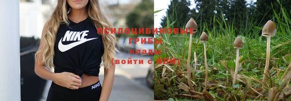 ALPHA PVP Гусев