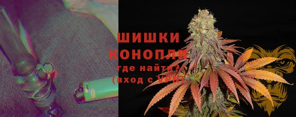 прущая мука Гусиноозёрск