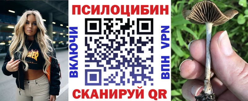Галлюциногенные грибы Magic Shrooms  что такое наркотик  дарк нет Telegram  Озёрск 