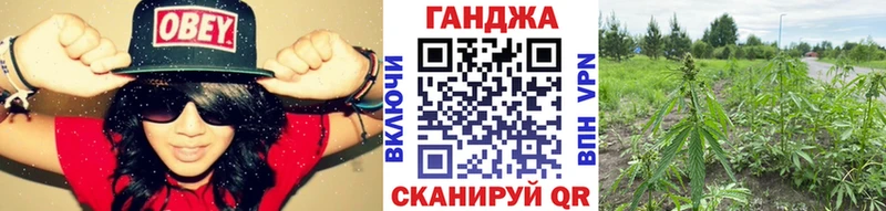 Бошки марихуана THC 21%  Озёрск 